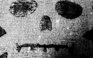 orangerie-studio-mix-remix-marengaux-marylin